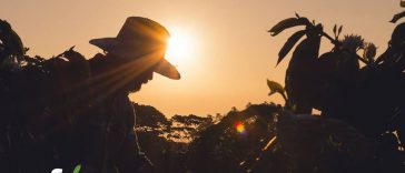 Café con sabor a mi tierra