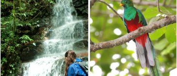 Parque Nacional La Tigra