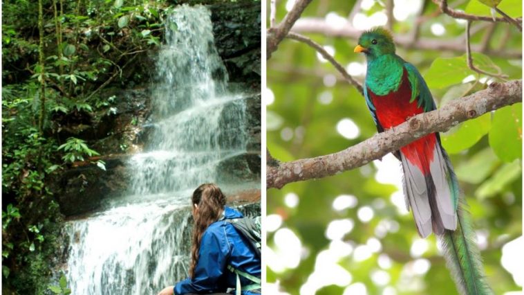 Parque Nacional La Tigra