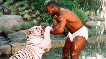 Mike Tyson junto a Kenia, la hembra de tigre con la que pasó grandes momentos.