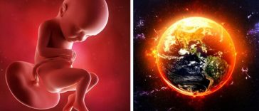 cambio climatico menos hombres