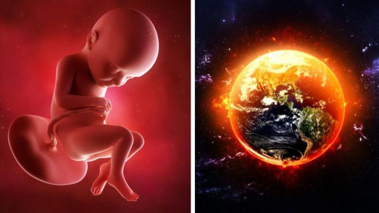 cambio climatico menos hombres