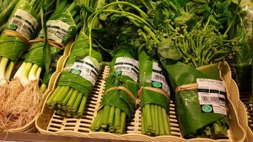 calentamiento global tierra