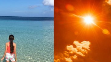 Cómo actuar en caso de insolación o golpe de calor