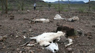 sequia calentamiento global