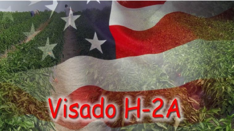 visa H-2A trabajo temporal